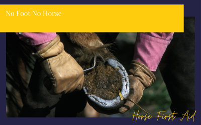 No Foot No Horse