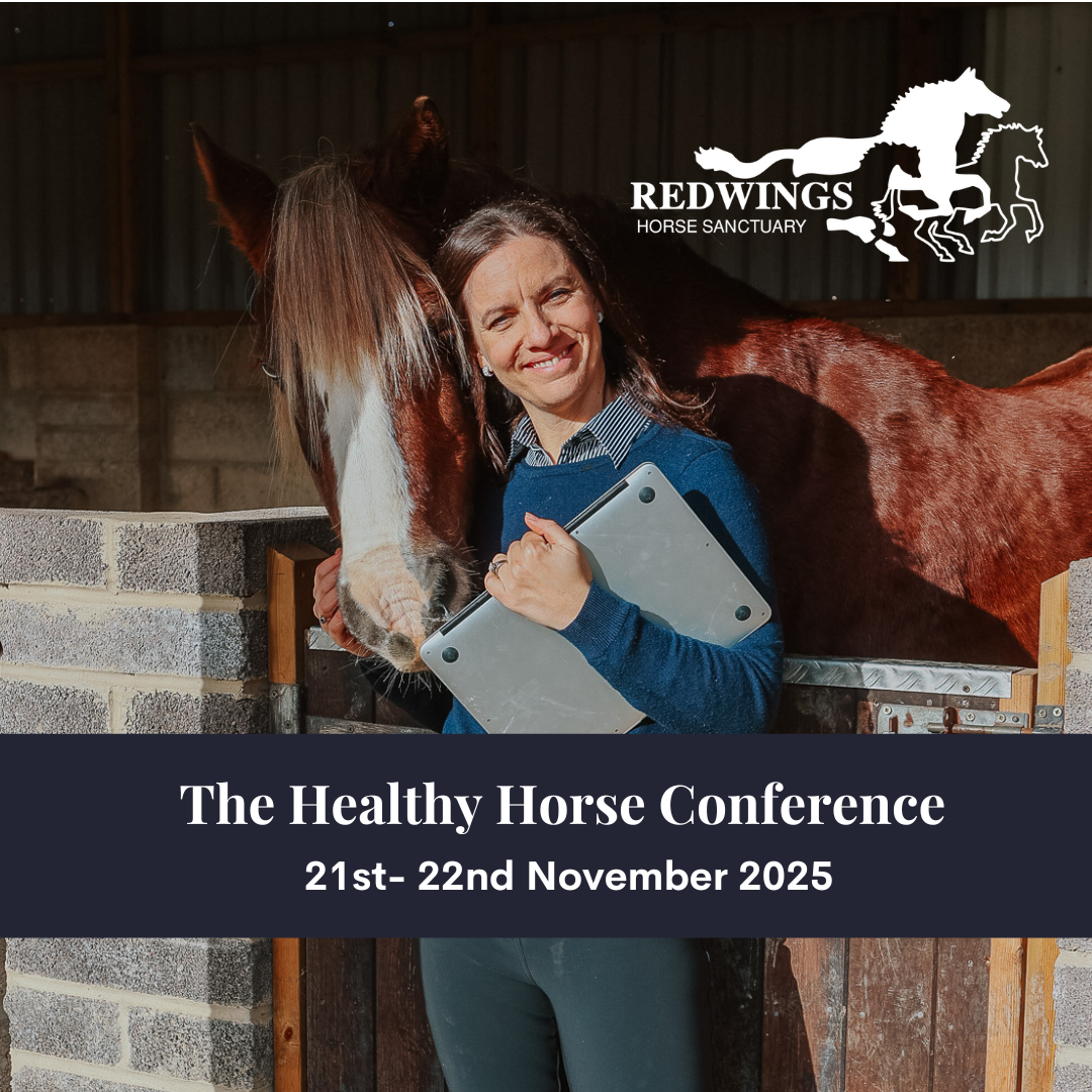 The Healthy Horse Conference - Online Ticket